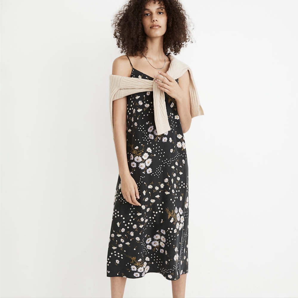 NWT Madewell Silk Eva Slip Dress